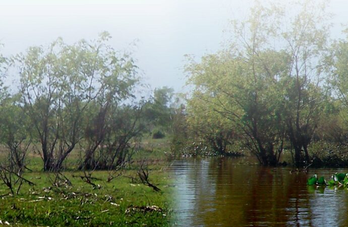 02/02 – Día Mundial de los Humedales