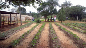 06/08 – Día de la Enseñanza Agropecuaria