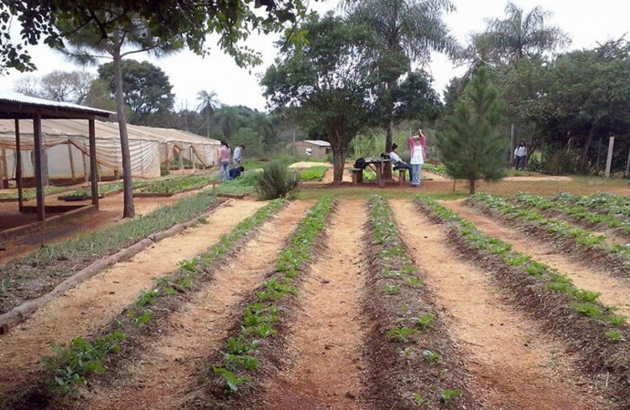 06/08 – Día de la Enseñanza Agropecuaria