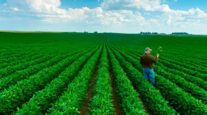 08/09 – Día de la Agricultura y del Productor Agropecuario