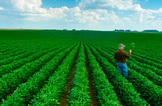 08/09 – Día de la Agricultura y del Productor Agropecuario