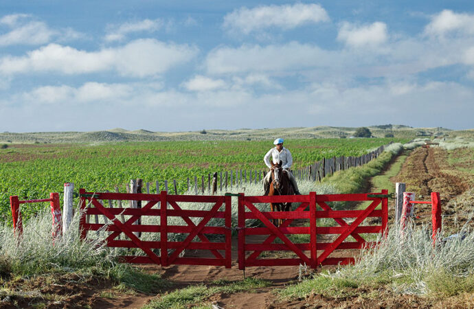 18/03 – Día del Ruralista