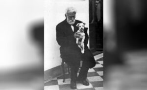 29/04 – Día del Animal