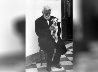 29/04 – Día del Animal