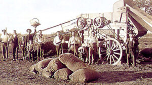 12/04/1878 – Primera exportación de trigo al mundo
