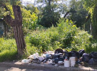 La Municipalidad avanza con operativos en distintos barrios para eliminar basurales