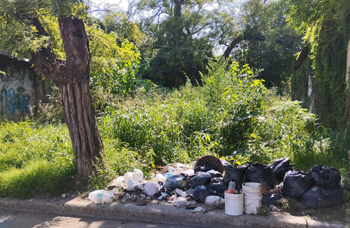 La Municipalidad avanza con operativos en distintos barrios para eliminar basurales