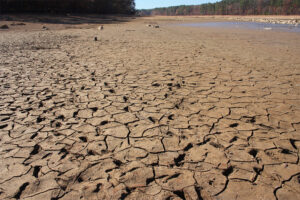 17/06 – Día Mundial de Lucha contra la Desertificación y la Sequía