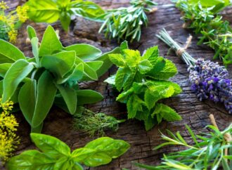 Curso de plantas aromáticas y medicinales