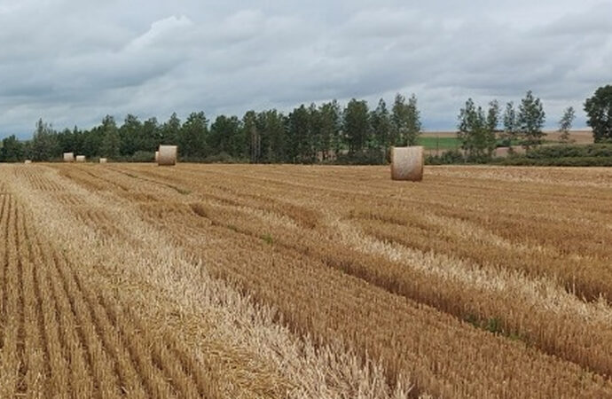 Convocatoria a productores agropecuarios afectados por el temporal