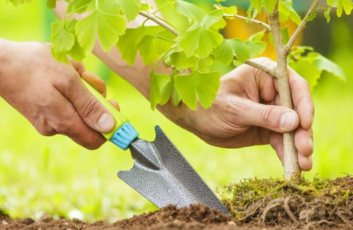 Registro de Vecinos Reforestadores Urbanos