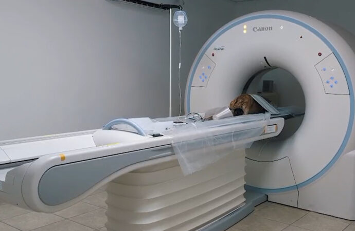 Veterinarias inaugura un Centro de Tomografía Computada