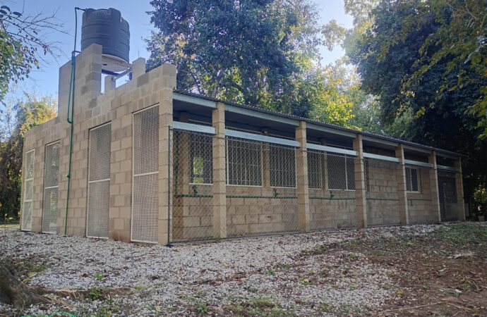 A pesar de la crisis universitaria, Veterinarias no baja los brazos e inaugura su primer módulo para la rehabilitación de fauna silvestre