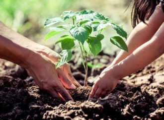 Registro de Vecinos Reforestadores Urbanos