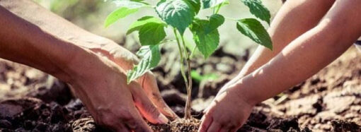 Registro de Vecinos Reforestadores Urbanos