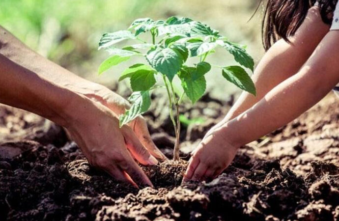 Registro de Vecinos Reforestadores Urbanos