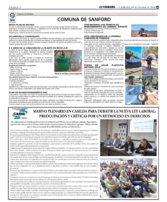 Pag_5_ZonalLocal_091026
